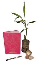 PerfectPath4Me Manifestation Planner-Undated